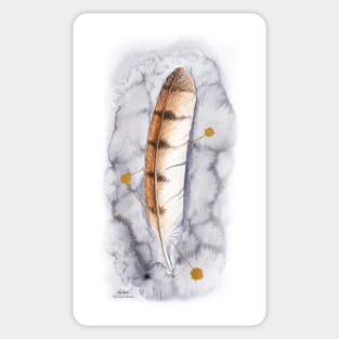 Barn Owl Feather on Watercolour - by Nadya Neklioudova Sticker